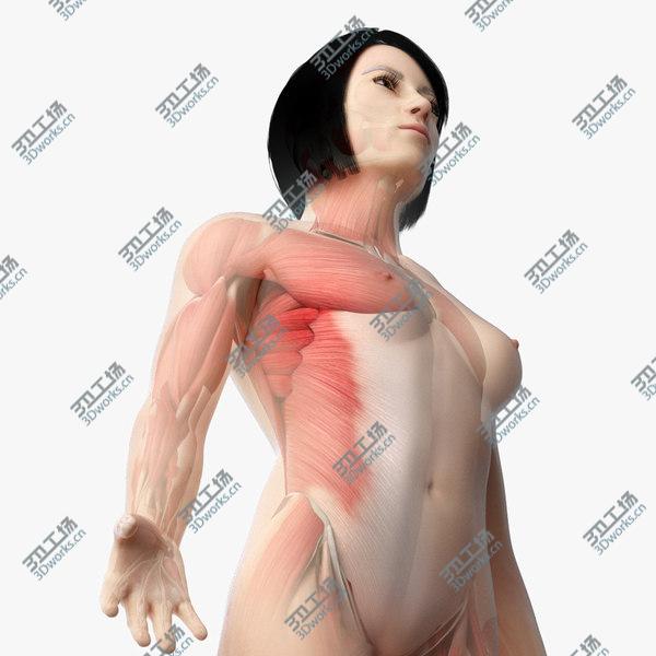 images/goods_img/20210312/Asian Female Skin, Skeleton And Muscles Rigged model/1.jpg
